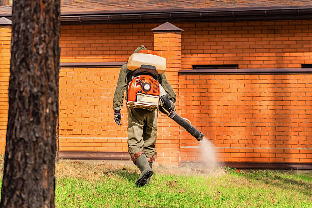 Bed Bug Clearance Verification and Documentation in Reminderville